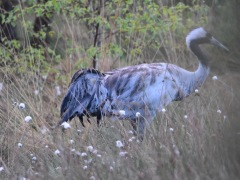 DSC_5899_Bildgroesse-aendern